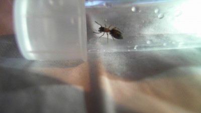 2012-05-10 20-29-28.469.jpg