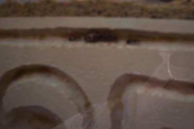 new ant nest 003.jpg