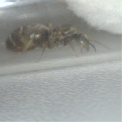 Schnappschuss von mir 3.png