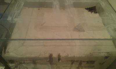 Arena und rechts hinten im Eck: Müllbereich / IMAG0458.jpg IMAG0458.jpg