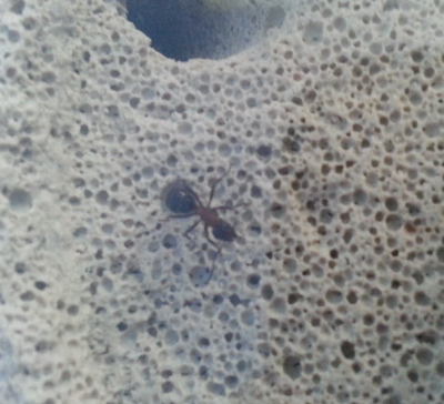 2012-08-21 09.53.25-1.png