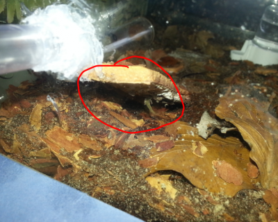 2012-08-21 10.03.57.png