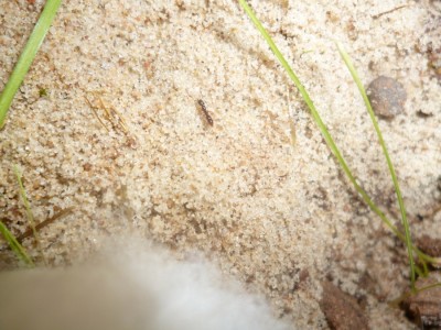 P1000885 (900x675).jpg