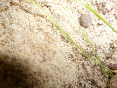 P1000887 (900x675).jpg