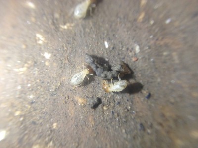 IMG_0574[1] resize.jpg