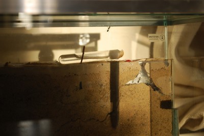 DSC_0215.JPG (246.64 KiB) 1393-mal betrachtet DSC_0215.JPG