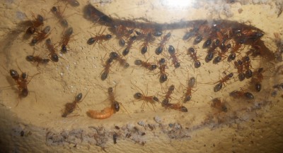 DSCN0094 (1900x1030).jpg