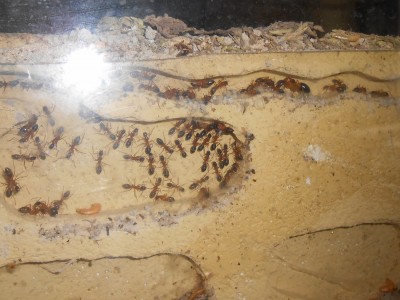 DSCN0113 (1500x1124).jpg