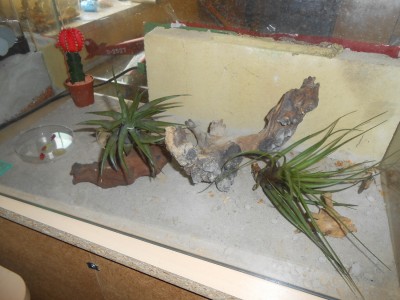 DSCN0114 (1500x1125).jpg