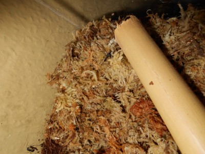 DSCN0133 (1400x1050).jpg