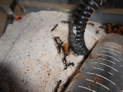 DSCN0180 (1500x1125).jpg