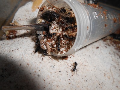 DSCN0178 (1500x1125).jpg