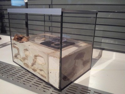 2013-01-07 19.12.40.jpg