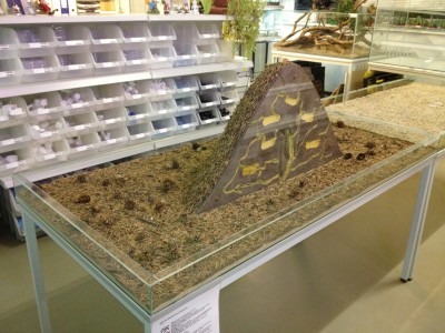 ANTSTORE Beckenanlage.jpg