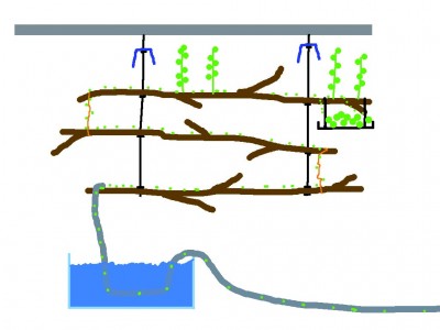 Acromyrmex Freilauf Deckenkonstruktion.jpg