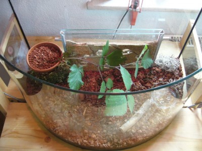 Formi. auf Stellplatz.JPG