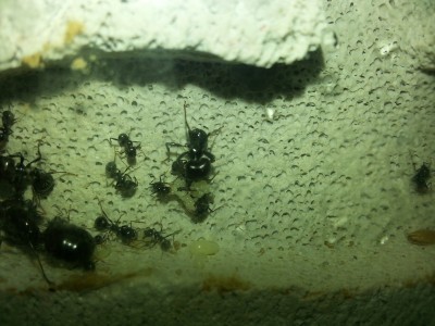 2013-04-10 11.04.59.jpg