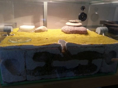 2013-04-10 11.16.58.jpg