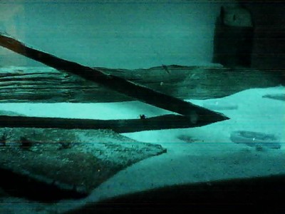 IP-Kamera bei beleuchteter Arena / IP_Kamera.jpg IP_Kamera.jpg