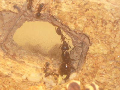 Uta wird gefüttett.JPG