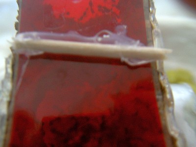 Objektträgernest 001.jpg