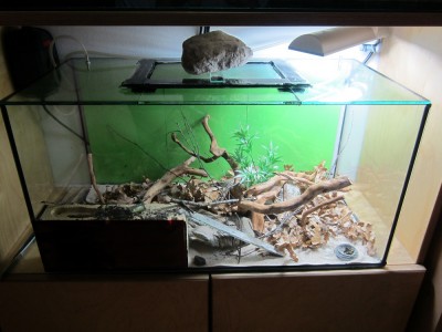 Formicarium 05.2013 verkleinert.jpg