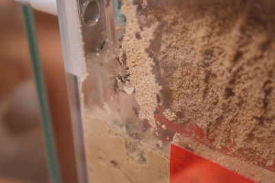 SAM_2147 (verkleind).jpg