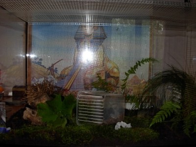 k-Terrarium 001.jpg