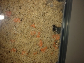 20130630_111140 (280x210).jpg