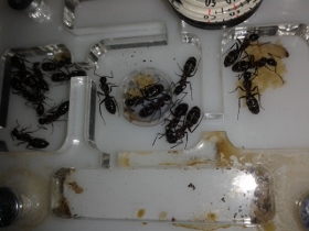 20130630_111257 (280x210).jpg