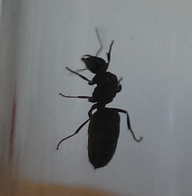 2013-07-22 13.31.13.jpg