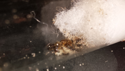 2013-10-20 17.10.28.png