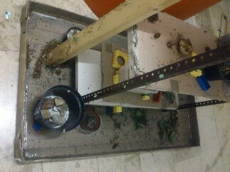 1388834988205 (324x243).jpg