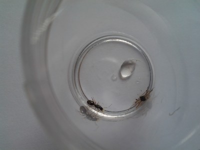 2014-07-01 16.06.37.jpg