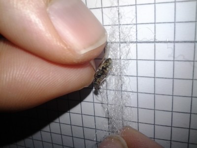 2014-07-02 11.16.48.jpg