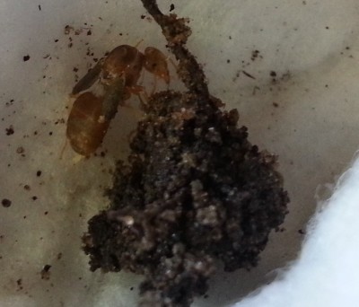 2014-07-17 10.03.22.jpg