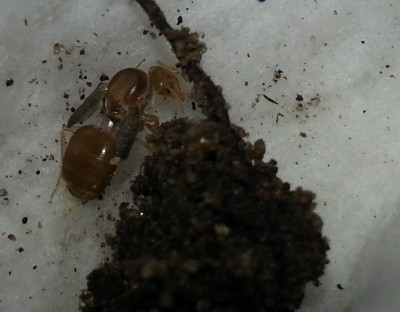 2014-07-17 10.03.32.jpg