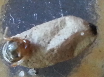 2014-07-17 10.08.07.jpg