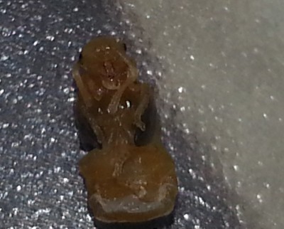 2014-07-17 10.13.04.jpg