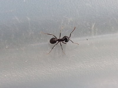 20140701_175537 (800x600).jpg