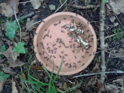 2014-06-20 16.13.03.png