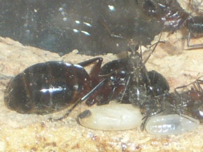 Routinefoto von Uta.JPG