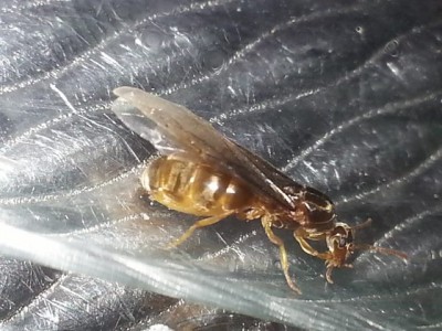 20140905_171913 (640x480).jpg