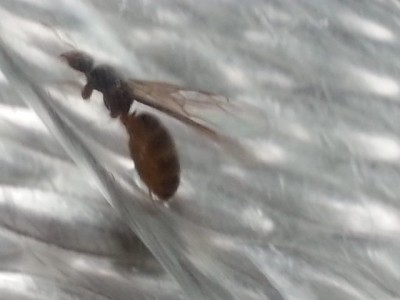 20140905_171949 (640x480).jpg