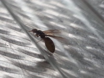 20140905_172002 (640x480).jpg