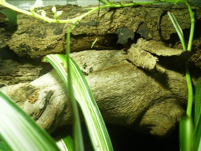 14.JPG (250.2 KiB) 1865-mal betrachtet 14.JPG