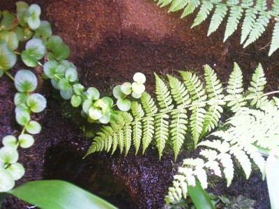 91.JPG (240.62 KiB) 1849-mal betrachtet 91.JPG