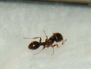 Unbenannt-2 Kopie.jpg