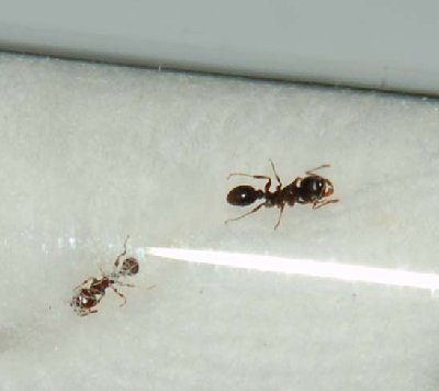 Unbenannt-1 Kopie.jpg