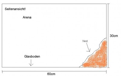 Arena Seitenansicht.JPG